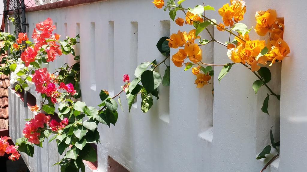 Desitha Family House Otel Mirissa Dış mekan fotoğraf